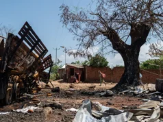 Бої в Конго: угруповання M23 заявляє про полон сотень солдатів Бурунді Бої-в-Конго:-угруповання-m23-заявляє-про-полон-сотень-солдатів-Бурунді