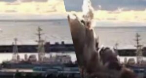 У Новоросійську уражена субмарина РФ: експерти пояснили, скільки їх ще є у Чорному морі У-Новоросійську-уражена-субмарина-РФ:-експерти-пояснили,-скільки-їх-ще-є-у-Чорному-морі