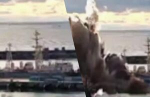 У Новоросійську уражена субмарина РФ: експерти пояснили, скільки їх ще є у Чорному морі У-Новоросійську-уражена-субмарина-РФ:-експерти-пояснили,-скільки-їх-ще-є-у-Чорному-морі