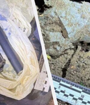 Знайдено-пістолет,-з-якого-вбили-Парубія,-–-СБУ