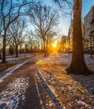 Погоду найближчими днями визначатиме потужний антициклон – синоптик