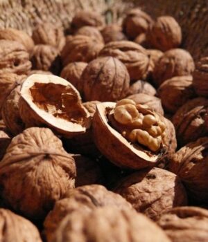 6-причин-їсти-волоські-горіхи:-експерти-пояснили,-що-вони-дають-організму