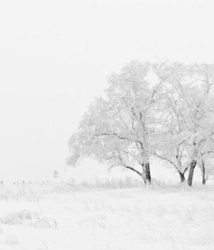 День-ангела-17 грудня:-кого-та як вітати-з іменинами