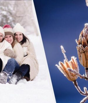 17-грудня-–-велике-свято-в-Україні:-що-відзначити-і-кого-привітати-сьогодні 17-грудня-–-велике-свято-в-Україні:-що-відзначити-і-кого-привітати-сьогодні