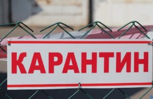 Домашній кіт покусав власника: в селі на Ковельщині – карантин через сказ Домашній-кіт-покусав-власника:-в-селі-на-Ковельщині-–-карантин-через-сказ