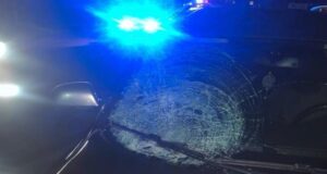 Автівка на Волині збила двох жінок на переході. Постраждалі – в лікарні Автівка-на-Волині-збила-двох-жінок-на-переході.-Постраждалі-–-в-лікарні