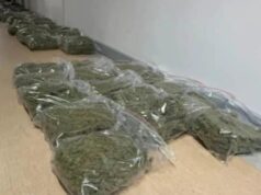 У Варшаві поліція затримала українця з понад 70 кг наркотиків і фальшивими документами У-Варшаві-поліція-затримала-українця-з-понад-70-кг-наркотиків-і-фальшивими-документами