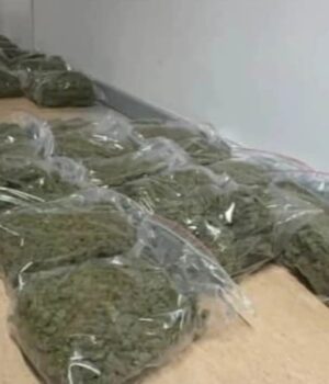 У-Варшаві-поліція-затримала-українця-з-понад-70-кг-наркотиків-і-фальшивими-документами У-Варшаві-поліція-затримала-українця-з-понад-70-кг-наркотиків-і-фальшивими-документами