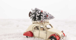 Ялинка на свята: яка відповідальність за незаконний зруб Ялинка-на-свята:-яка-відповідальність-за-незаконний-зруб