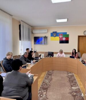 54-сесія-Нововолинської-міської-ради:-депутати-працюють-у-постійних-комісіях