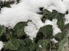 Українців попередили, коли вдарить мороз до -12°С Українців попередили, коли вдарить мороз до -12°С