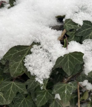 Українців попередили, коли вдарить мороз до -12°С