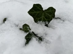 Зимове сонцестояння: прогноз погоди на вихідні 20-21 грудня Зимове сонцестояння: прогноз погоди на вихідні 20-21 грудня