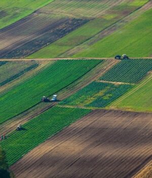Приватній-компанії-незаконно-передали-тисячу-гектарів-землі-у-Луцькому-районі Приватній-компанії-незаконно-передали-тисячу-гектарів-землі-у-Луцькому-районі