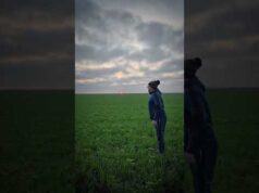 Шо по Міндічу? (ВІДЕО) Шо по Міндічу? (ВІДЕО)