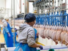 На Волині планують збудувати завод з переробки птиці та біогазову станцію На-Волині-планують-збудувати-завод-з-переробки-птиці-та-біогазову-станцію