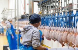 На Волині планують збудувати завод з переробки птиці та біогазову станцію На-Волині-планують-збудувати-завод-з-переробки-птиці-та-біогазову-станцію