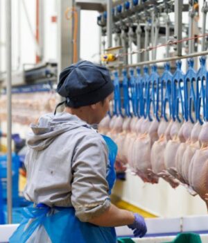 На-Волині-планують-збудувати-завод-з-переробки-птиці-та-біогазову-станцію