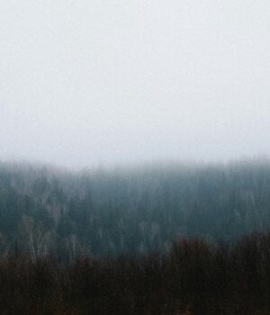 Погода-на 20 грудня:-синоптики-попередили-українців-про-небезпеку