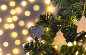 Скільки коштують ялинки у місті на Волині: огляд цін Скільки-коштують-ялинки-у-місті-на-Волині:-огляд-цін