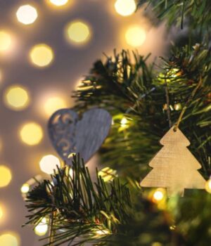 Скільки-коштують-ялинки-у-місті-на-Волині:-огляд-цін