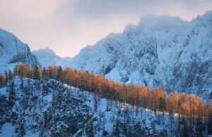 Прогноз на 21 грудня: як зміниться погода Прогноз-на 21 грудня:-як зміниться-погода