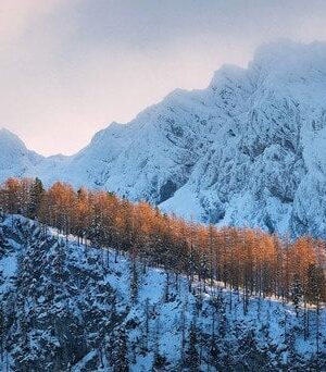 Прогноз-на 21 грудня:-як зміниться-погода