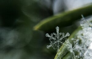 День ангела 21 грудня: кого та як вітати з іменинами День-ангела-21 грудня:-кого-та як вітати-з іменинами