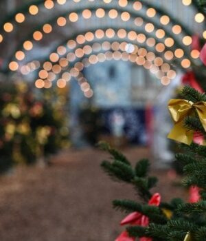 Що-не-можна-викидати-на-Новий-рік:-5-речей-за-народними-прикметами