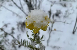 Погода 22 грудня: очікується туман, дощ і мокрий сніг Погода 22 грудня: очікується туман, дощ і мокрий сніг