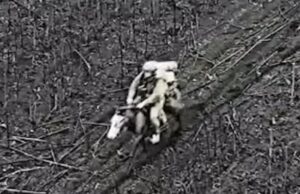 Окупанти почали ходити у штурми на конях – 92 ОШБр зафіксувала «кінноту» Окупанти-почали-ходити-у-штурми-на-конях-–-92-ОШБр-зафіксувала-«кінноту»