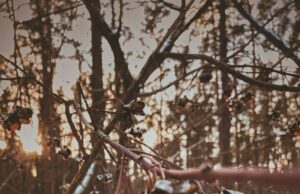 День ангела 23 грудня: кого та як вітати з іменинами День-ангела-23 грудня:-кого-та як вітати-з іменинами