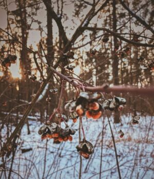 День-ангела-23 грудня:-кого-та як вітати-з іменинами