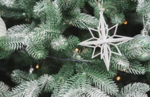 Стало відомо, чи буде сніг на Різдво у Дніпрі Стало-відомо,-чи-буде-сніг-на-Різдво-у-Дніпрі