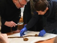 На Житомирщині знайшли тисячолітній варязький меч – фото На Житомирщині знайшли тисячолітній варязький меч – фото