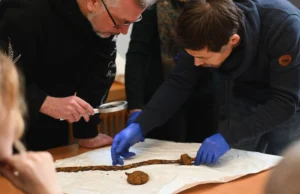 На Житомирщині знайшли тисячолітній варязький меч – фото На Житомирщині знайшли тисячолітній варязький меч – фото