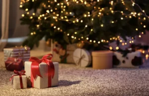 ДСНС пояснила, як безпечно провести різдвяно-новорічні свята ДСНС пояснила, як безпечно провести різдвяно-новорічні свята