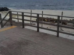 російські удари по порту Південний спричинили витік олії в Чорне море – АМПУ російські-удари-по-порту-Південний-спричинили-витік-олії-в-Чорне-море-–-АМПУ