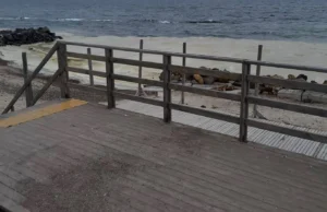 російські удари по порту Південний спричинили витік олії в Чорне море – АМПУ російські-удари-по-порту-Південний-спричинили-витік-олії-в-Чорне-море-–-АМПУ