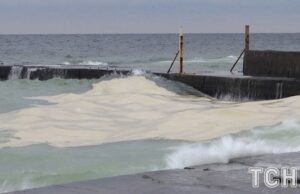 Екологічна катастрофа в Одесі: через атаку РФ море залило олією, масово гинуть птахи Екологічна-катастрофа-в Одесі:-через-атаку-РФ море-залило-олією,-масово-гинуть-птахи