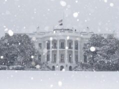 Адміністрація Трампа планує пришвидшити депортації зі Штатів, – WP Адміністрація-Трампа-планує-пришвидшити-депортації-зі-Штатів,-–-wp