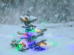 Сьогодні святкуємо Різдво: історія та традиції одного з найбільших церковних свят Сьогодні-святкуємо-Різдво:-історія-та-традиції-одного-з-найбільших-церковних-свят