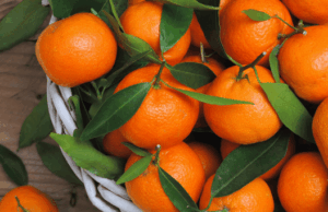 Скільки мандарин можна їсти на день Скільки-мандарин-можна-їсти-на день