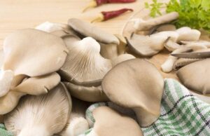 Як приготувати гриби гливи: 4 смачні рецепти та корисні поради Як приготувати-гриби-гливи:-4 смачні-рецепти-та корисні-поради