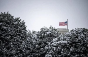 Сенатори США закликали Трампа зупинити масове відкликання послів Сенатори-США-закликали-Трампа-зупинити-масове-відкликання-послів