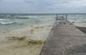 Пляма олії в Чорному морі сягнула 55 кілометрів узбережжя Пляма олії в Чорному морі сягнула 55 кілометрів узбережжя