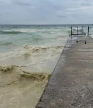 Пляма олії в Чорному морі сягнула 55 кілометрів узбережжя