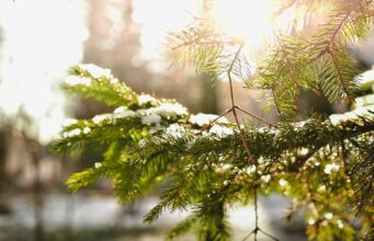 26 грудня: свята, події, факти. День подарунків та День полювання на сни 26-грудня:-свята,-події,-факти.-День-подарунків-та-День-полювання-на-сни