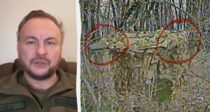 “Фронти буквально забиті”: “Флеш” розповів, як окупанти протидіють дронам на передовій “Фронти-буквально-забиті”:-“Флеш”-розповів,-як-окупанти-протидіють-дронам-на-передовій