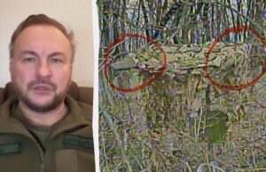 “Фронти буквально забиті”: “Флеш” розповів, як окупанти протидіють дронам на передовій “Фронти-буквально-забиті”:-“Флеш”-розповів,-як-окупанти-протидіють-дронам-на-передовій